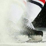 CITY ICERINK NEWS