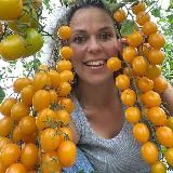 petrovchanka_lera